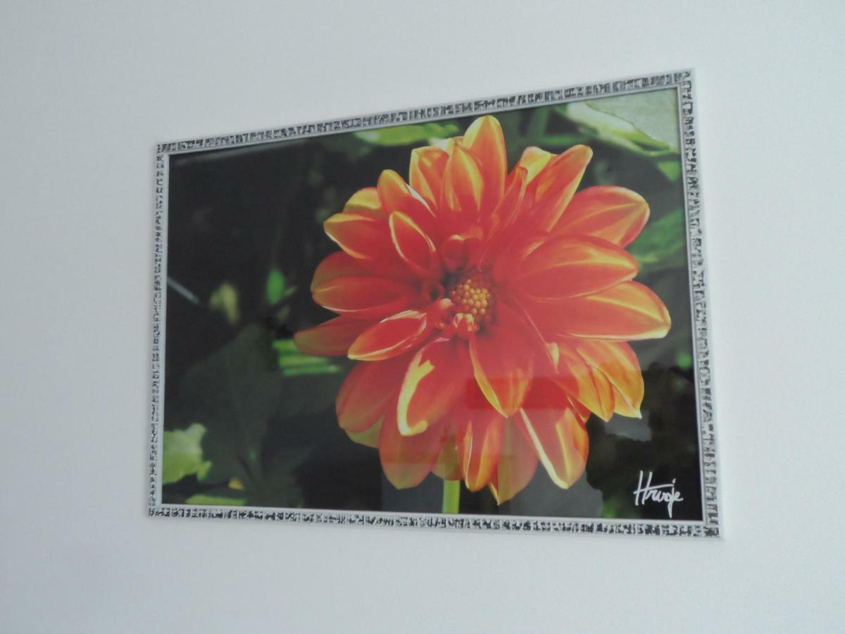 Dalija Apartman ซาเกร็บ ภายนอก รูปภาพ